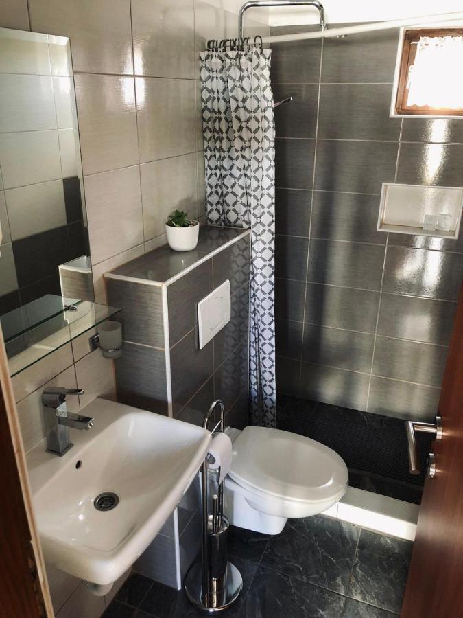 Guest House Family Dukic Раковица Екстериор снимка