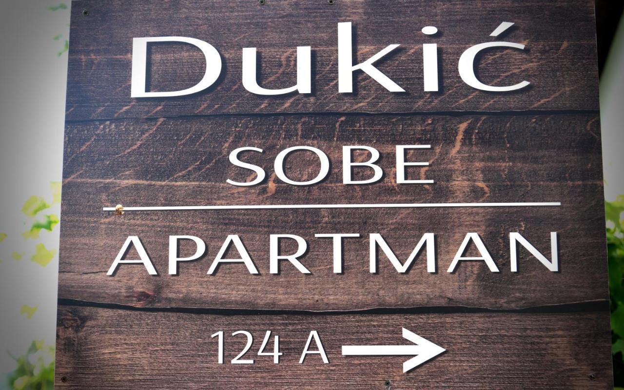 Guest House Family Dukic Раковица Екстериор снимка